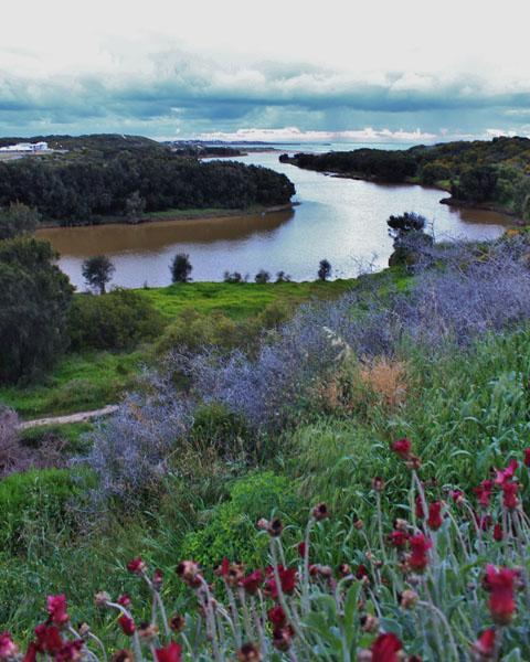 Dongara Breeze Inn Esterno foto